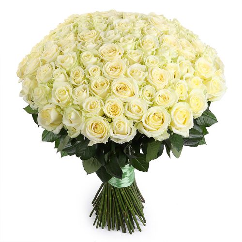 Заказать букет из 101 белой розы с доставкой по Бирску
